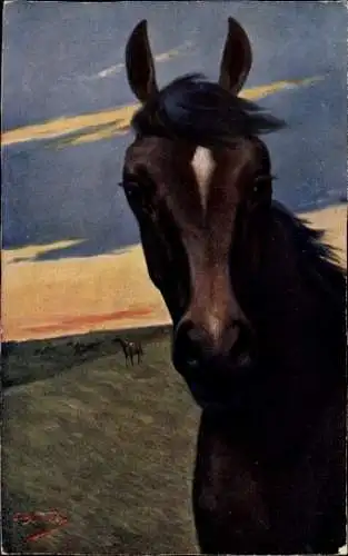 Künstler Ak Braunes Pferd, Tierportrait, Wiese