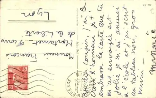 Ak Siamkatze, sitzend, Tierportrait