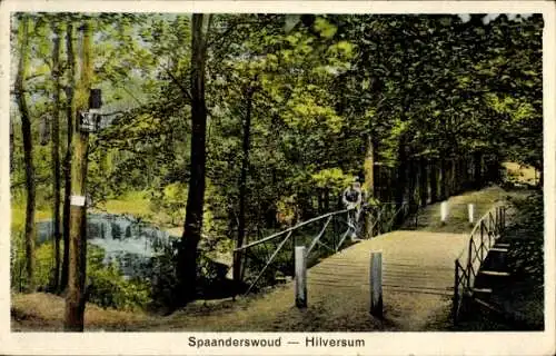 Ak Hilversum Nordholland Niederlande, Spaanderswoud