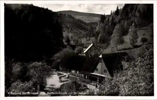 Ak Pokrzywna Wildgrund Głuchołazy Ziegenhals Oberschlesien, Seiffentalbaude mit Silberkoppe