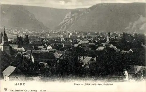 Ak Thale im Harz Sachsen Anhalt, Gesamtansicht, Blick nach Bodethal