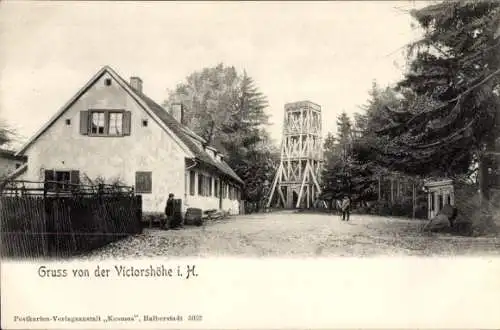 Ak Victorshöhe Friedrichsbrunn Thale, Aussichtsturm, Wohnhaus