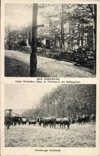 Ak Bad Harzburg am Harz, Hotel Waldhöhe, Kaffeegarten, Harzburger Kuhherde