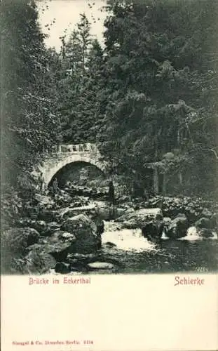 Ak Schierke Wernigerode im Harz, Brücke, Eckertal