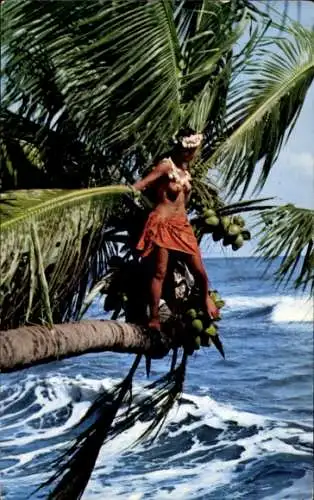 Ak Tahiti, Barbusige Frau am Baum, Palme, Erotik
