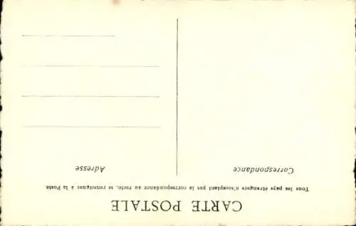Ak Schwalbe im Flug, Blumen, Margerite, Mohn