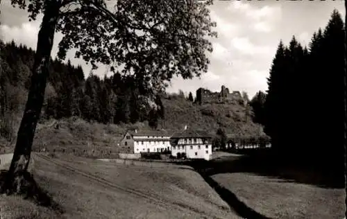 Ak Kaiserslautern in der Pfalz, Klug'sche Mühle, Burg Willenstein