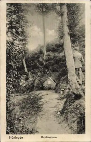 Ak Höningen Altleiningen in der Pfalz, Kohlbrunnen