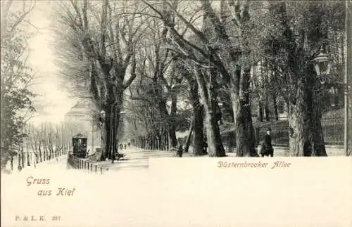 Ak Kiel, Düsternbrooker Allee