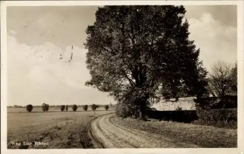 Ak Echzell in Hessen, Weg nach Echzell, Baum