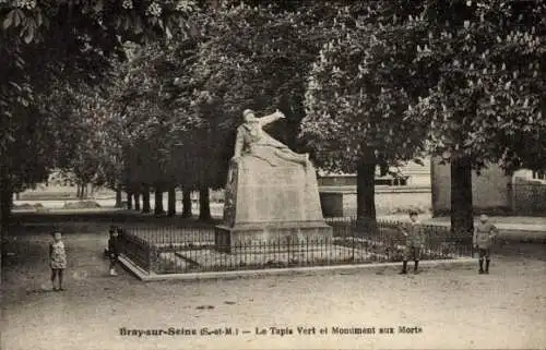 Ak Bray sur Seine Seine et Marne, Der Grüne Teppich, Kriegsdenkmal