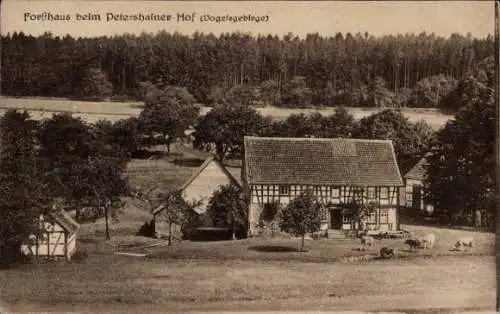 Ak Ulrichstein in Hessen, Forsthaus, Petershainer Hof, Vogelsgebirge