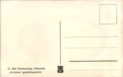 Präge Passepartout Ak Falkenstein im Vogtland, Gesamtansicht