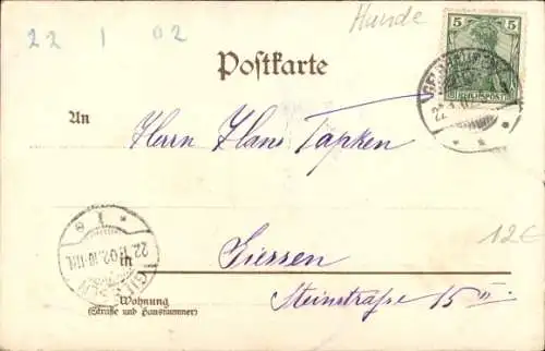 Litho Tierportrait, Bernhardiner