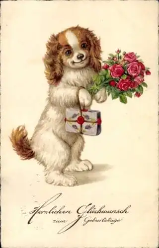 Ak Glückwunsch Geburtstag, Hund mit Blumen und Geschenk