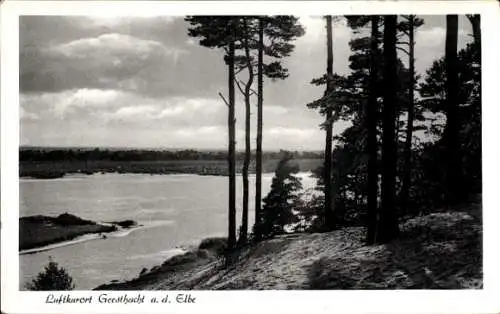 Ak Geesthacht an der Elbe, Panorama