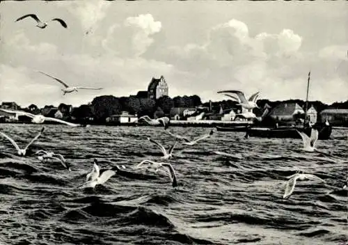 Ak Ostseebad Heiligenhafen in Holstein, Möwen, Boote, Gesamtansicht