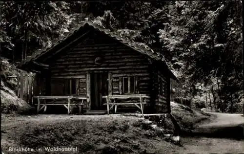 Ak Falkenberg an der Waldnaab Oberpfalz, Blockhütte im Waldnaabtal