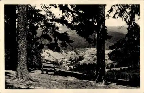 Ak Katzhütte Oelze im Schwarzatal, Blick ins Tal