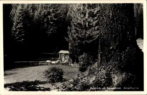 Ak Katzhütte im Schwarzatal, Amselbachtal