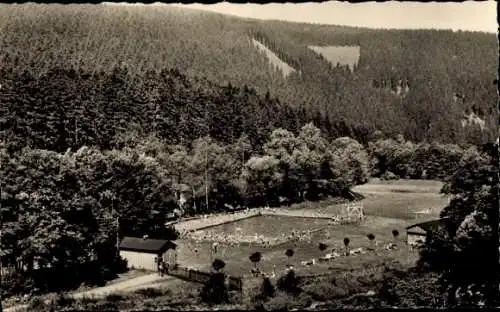 Ak Meuselbach Schwarzmühle Schwarzatal in Thüringen, Schwimmbad