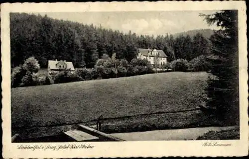 Ak Lautenthal Langelsheim im Oberharz, Hotel, Wald