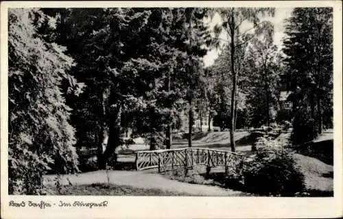 Ak Bad Sachsa im Harz, Kurpark, Brücke