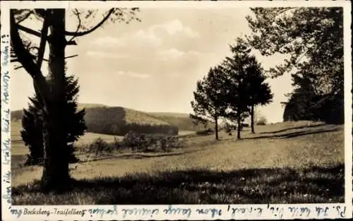 Ak Traifelberg Honau Lichtenstein in Württemberg, Bocksberg, Panorama