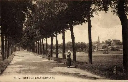 Ak Kaltenhouse Kaltenhausen Elsass Bas Rhin, Blick in die Allee