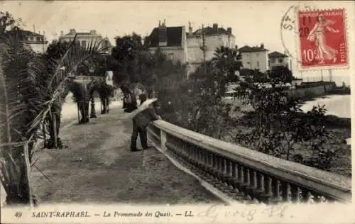 Ak Saint Raphaël Var, La Promenade des Quais