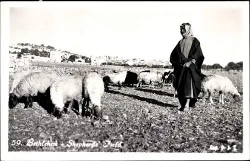 Ak Betlehem Palästina, Schäfer auf dem Feld, Schafherde