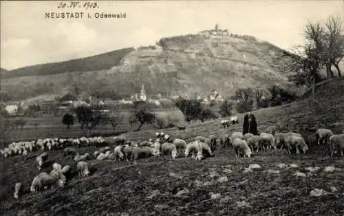Ak Neustadt Breuberg im Odenwald, Panorama, Schafherde, Schäfer