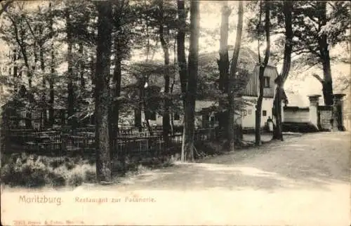 Ak Moritzburg in Sachsen, Restaurant zur Fasanerie