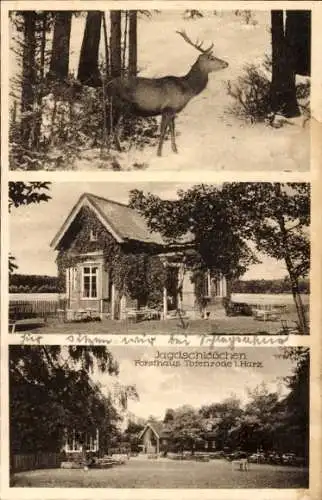 Ak Blankenburg am Harz, Forsthaus Totenrode, Jagdschlösschen, Hirsch