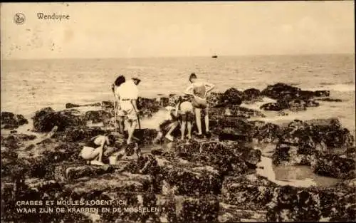 Ak Wenduine Wenduyne De Haan Westflandern, Strandpartie, Krabben und Muscheln sammeln