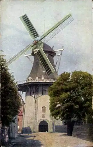 Ak Windmühle, Bäume, Straßenpartie