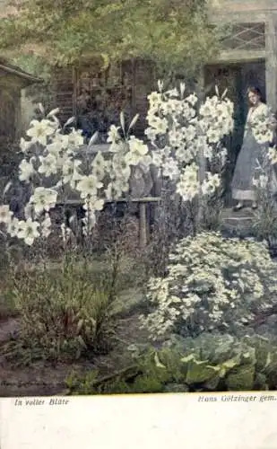 Künstler Ak Götzinger, Hans, In voller Blüte, Garten mit Blumen, BKWI 2017