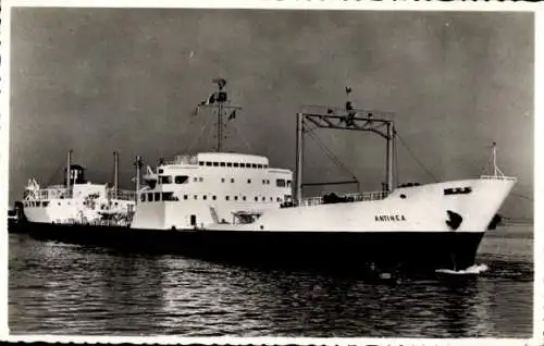 Ak Frachtschiff SS Antinea, Compagnie Africaine d'Armement