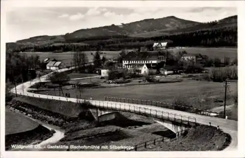 Ak Pokrzywna Wildgrund Głuchołazy Ziegenhals Oberschlesien, Gasthof Bischofsmühle, Silberkoppe