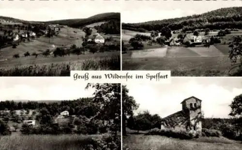 Ak Wildensee Eschau im Spessart, Teilansichten, Gasthaus Pension Haus Waldfrieden