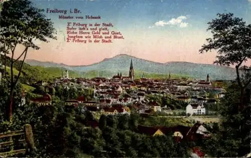 Ak Freiburg im Breisgau, Totale vom Hebsack gesehen, Gedicht von Johann Peter Hebel
