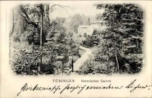 Ak Tübingen am Neckar, Botanischer Garten