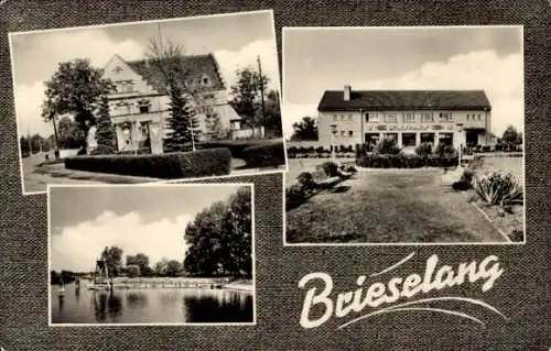 Ak Brieselang im Havelland, Teilansichten, Kaufhaus