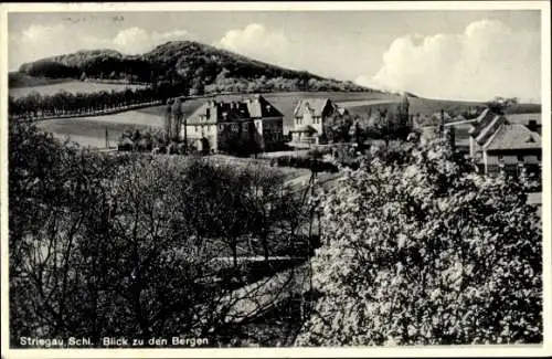 Ak Strzegom Striegau Schlesien, Blick zu den Bergen