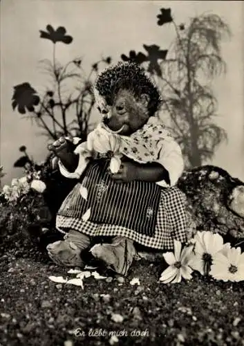 Ak Mecki der Igel, Er liebt mich doch, Igelfrau zupft Blütenblätter von Blumen