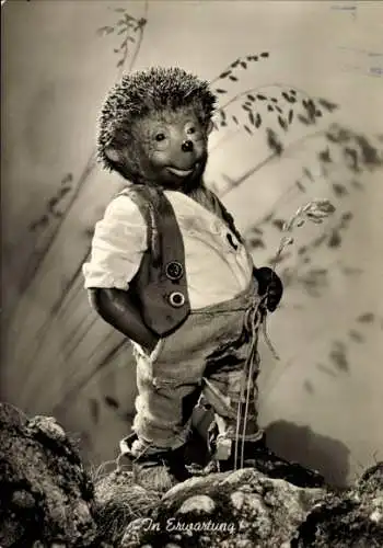 Ak Mecki der Igel, In Erwartung