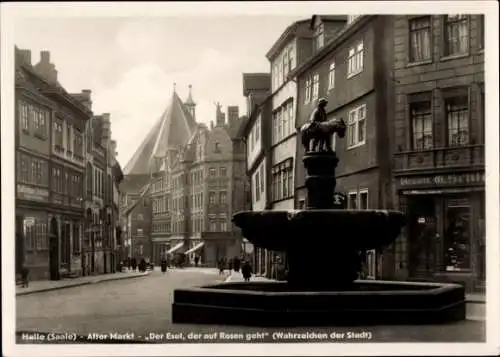 Ak Halle an der Saale, Alter Markt, Brunnen, "Der Esel der auf Rosen geht"