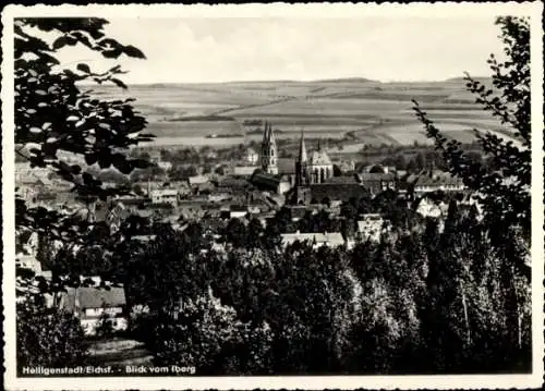 Ak Heilbad Heiligenstadt im Eichsfeld, Blick vom Iberg auf die Stadt