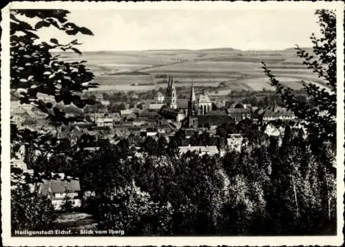 Ak Heilbad Heiligenstadt im Eichsfeld, Blick vom Iberg auf die Stadt