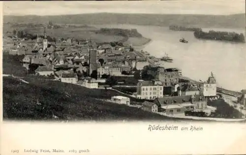 Ak Rüdesheim am Rhein, Panorama